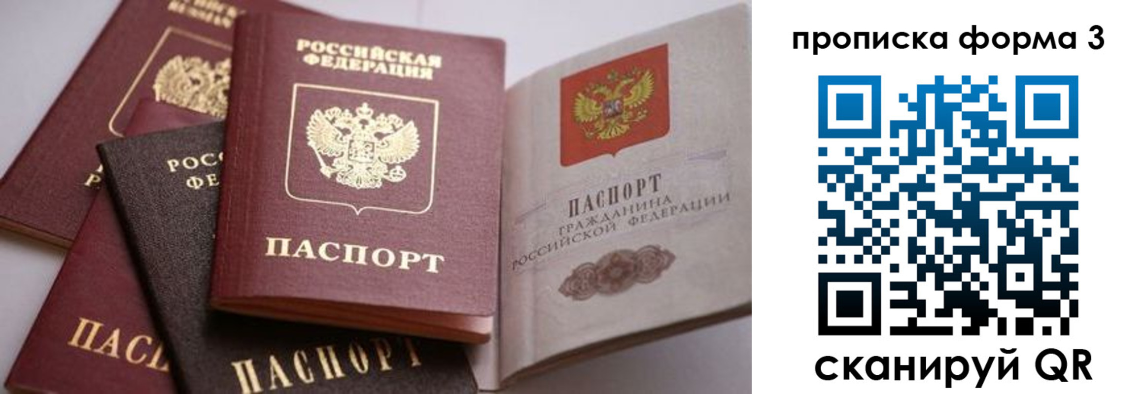 прописка для школы в Ногинске